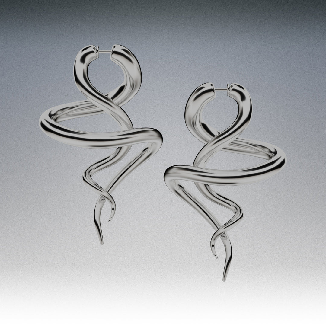 Duo earrings