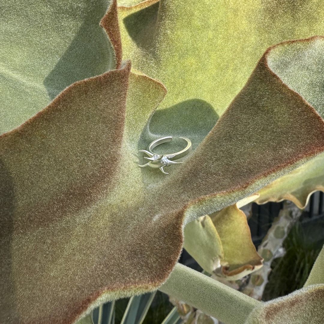 Thorns no Roses ring